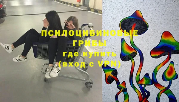 индика Галич