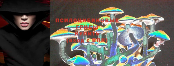 стафф Киренск