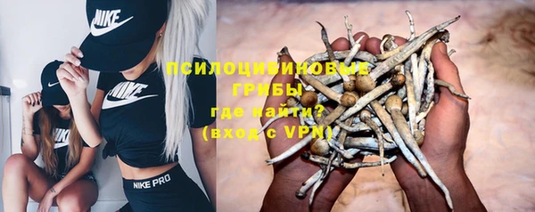кокс Кинешма